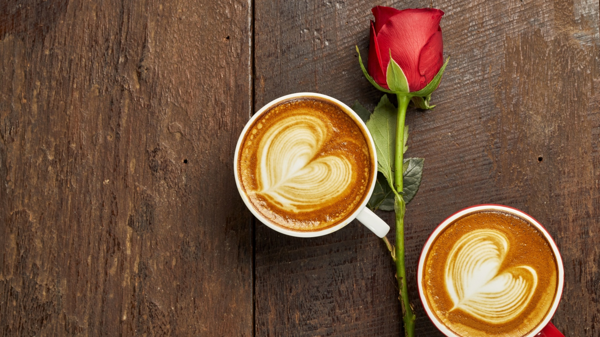 Fondo de pantalla Romantic Coffee and Rose 1920x1080