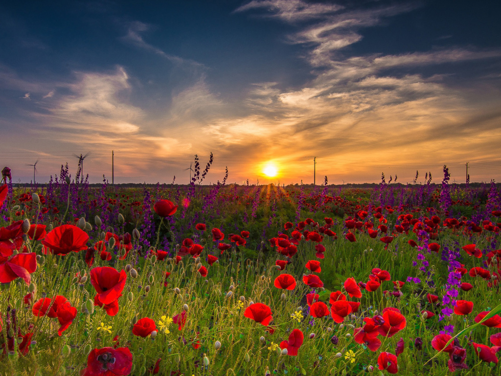 Das Early Morning in Crimea Wallpaper 1024x768