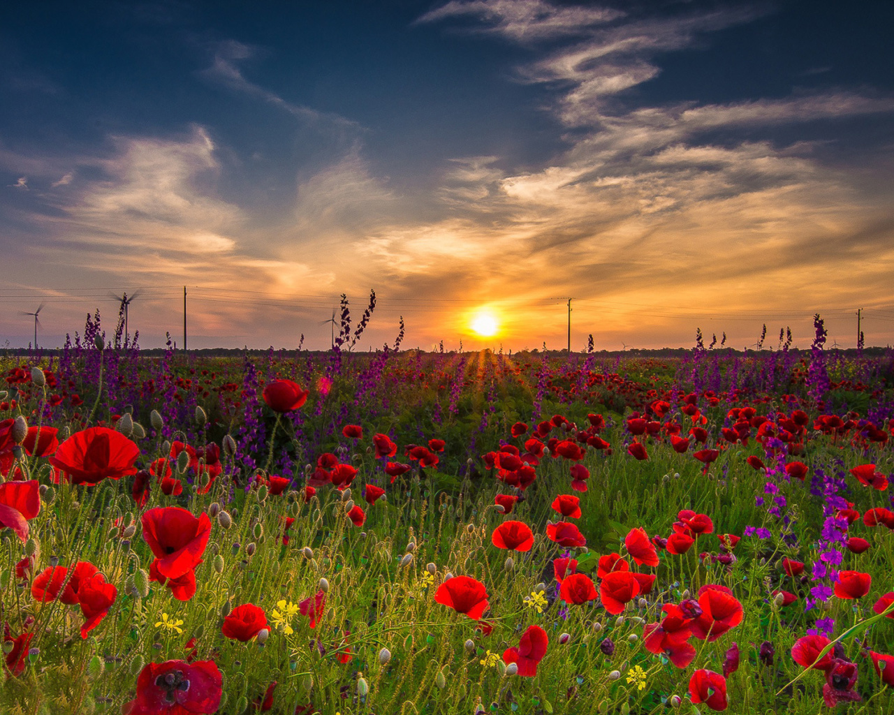 Das Early Morning in Crimea Wallpaper 1280x1024