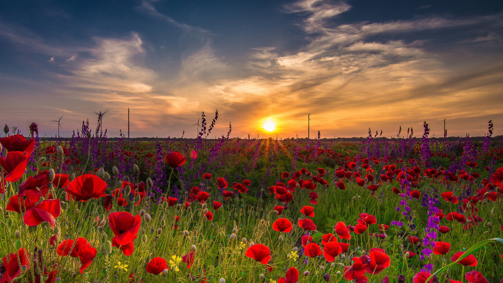 Fondo de pantalla Early Morning in Crimea 1920x1080