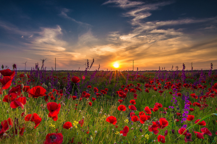 Screenshot №1 pro téma Early Morning in Crimea