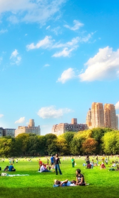 Spring In New York screenshot #1 240x400