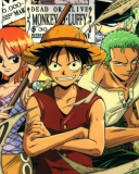 One Piece screenshot #1 128x160