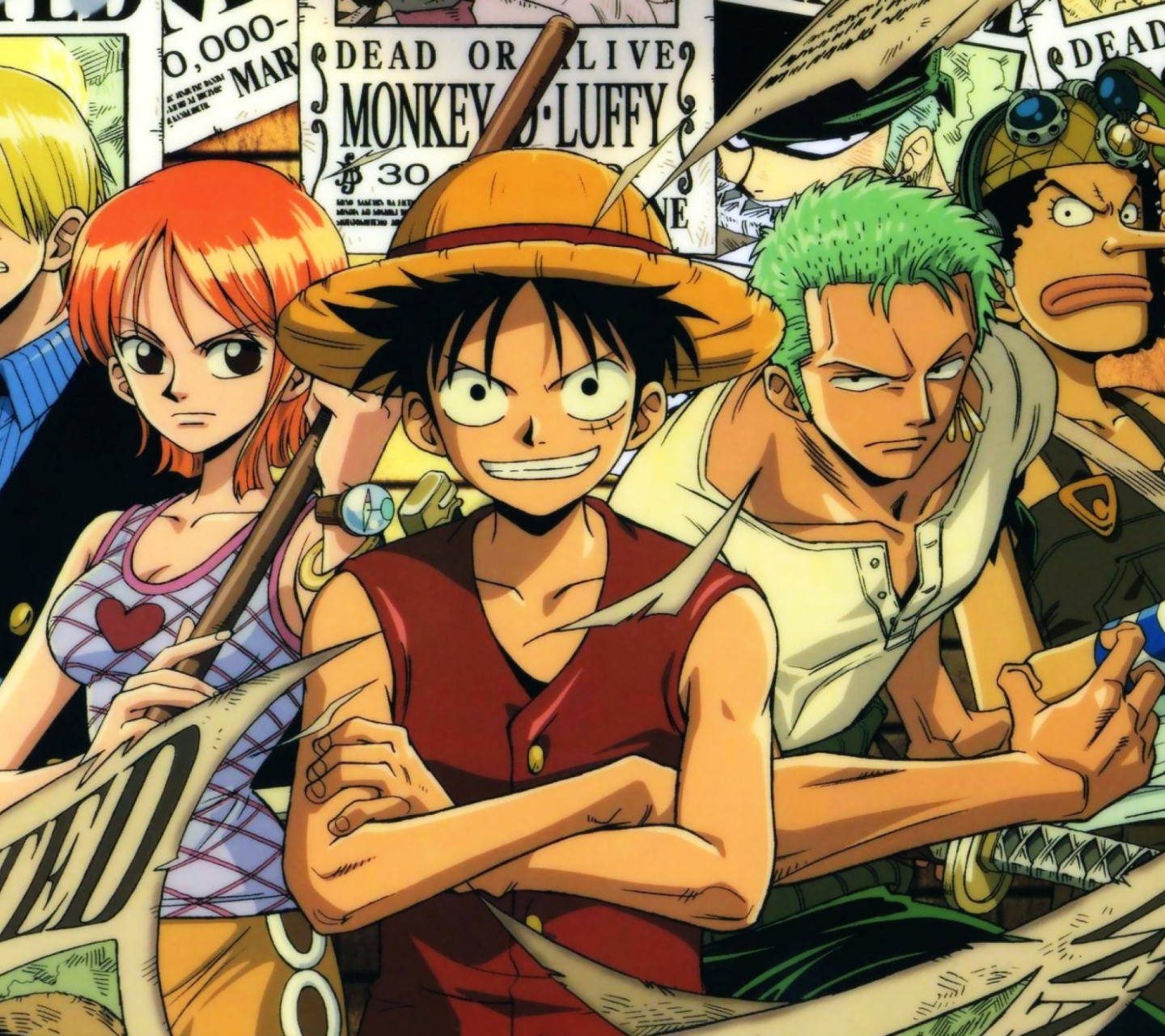 One Piece screenshot #1 1440x1280