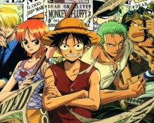 One Piece wallpaper 220x176