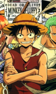 Fondo de pantalla One Piece 240x400