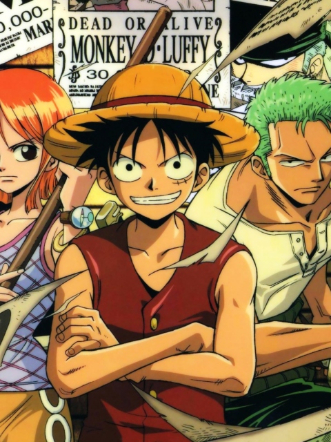 Fondo de pantalla One Piece 480x640