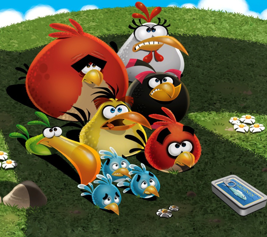 Das Angry Birds Wallpaper 1080x960