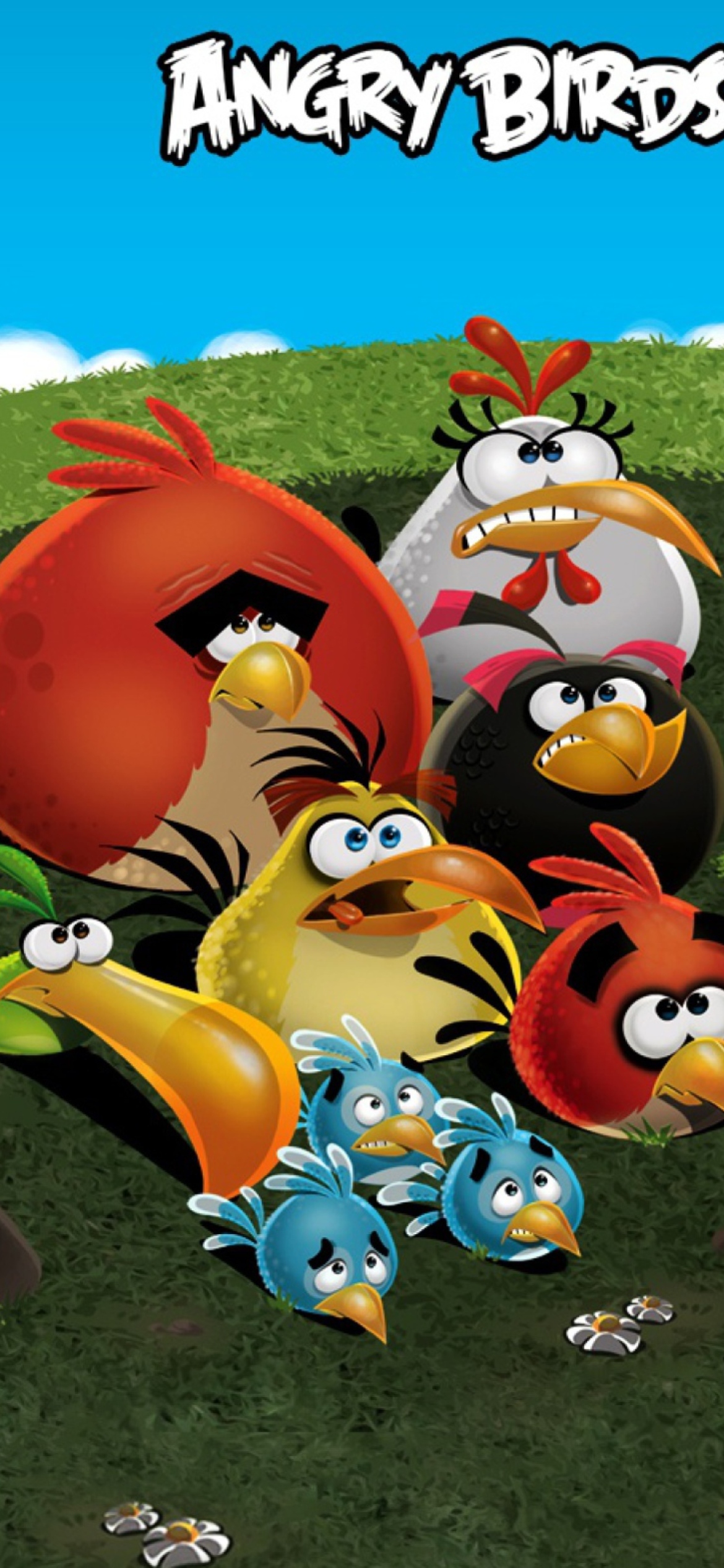 Das Angry Birds Wallpaper 1170x2532