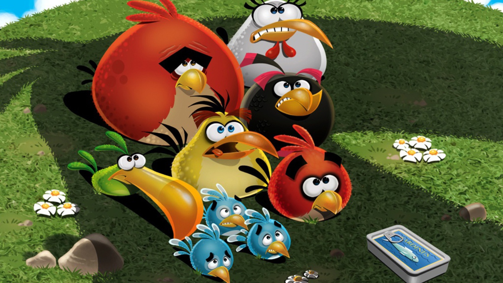 Das Angry Birds Wallpaper 1600x900