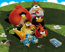 Screenshot №1 pro téma Angry Birds 220x176
