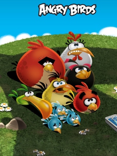 Das Angry Birds Wallpaper 240x320