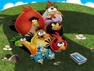 Das Angry Birds Wallpaper 320x240