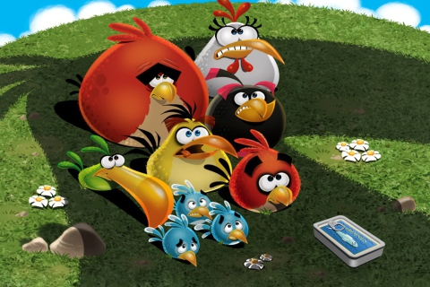 Обои Angry Birds 480x320