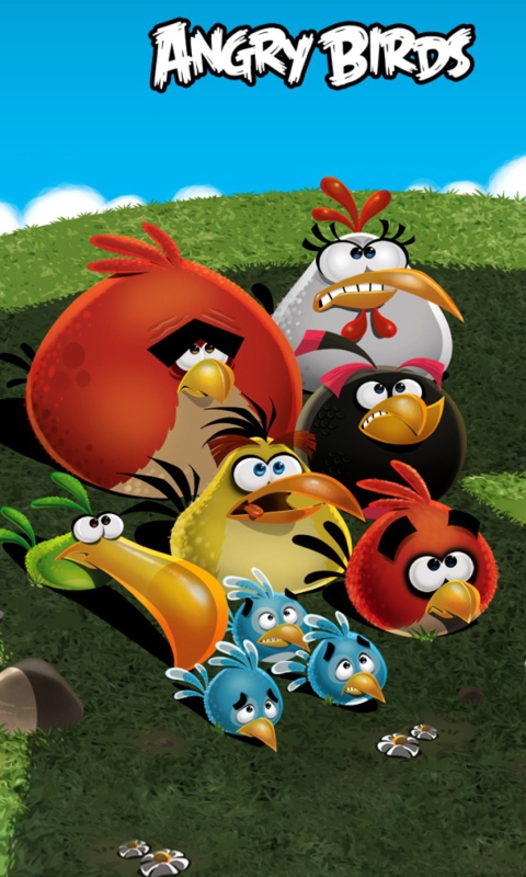 Fondo de pantalla Angry Birds 480x800