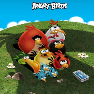 Kostenloses Angry Birds Wallpaper für 208x208