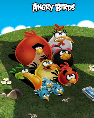 Angry Birds papel de parede para celular para Nokia C-Series