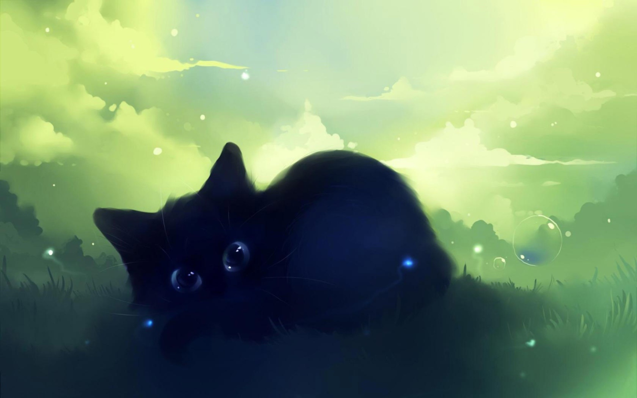 Fondo de pantalla Black Cat 1280x800