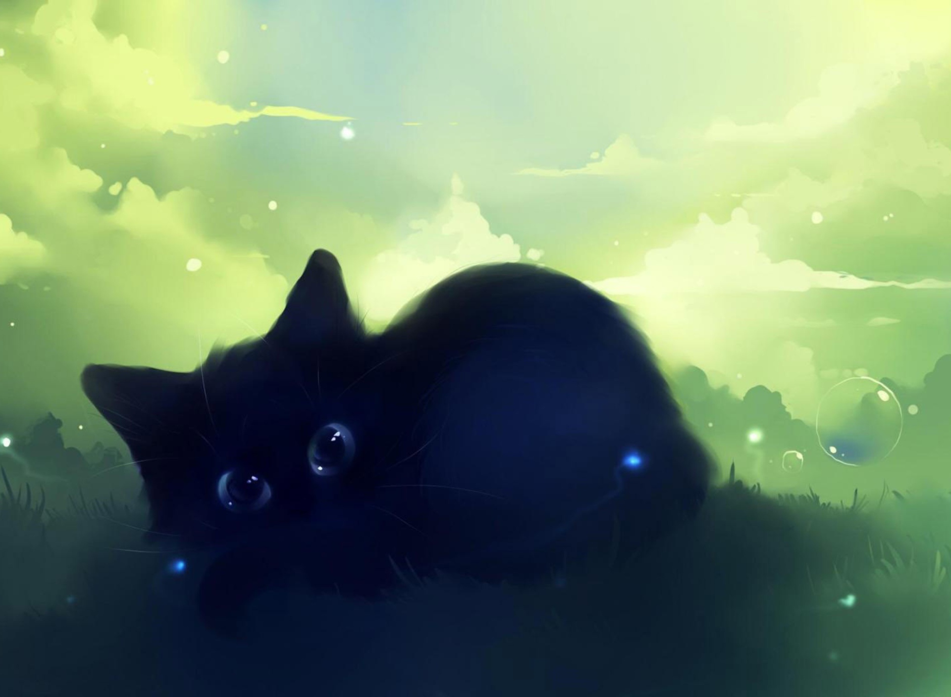 Sfondi Black Cat 1920x1408
