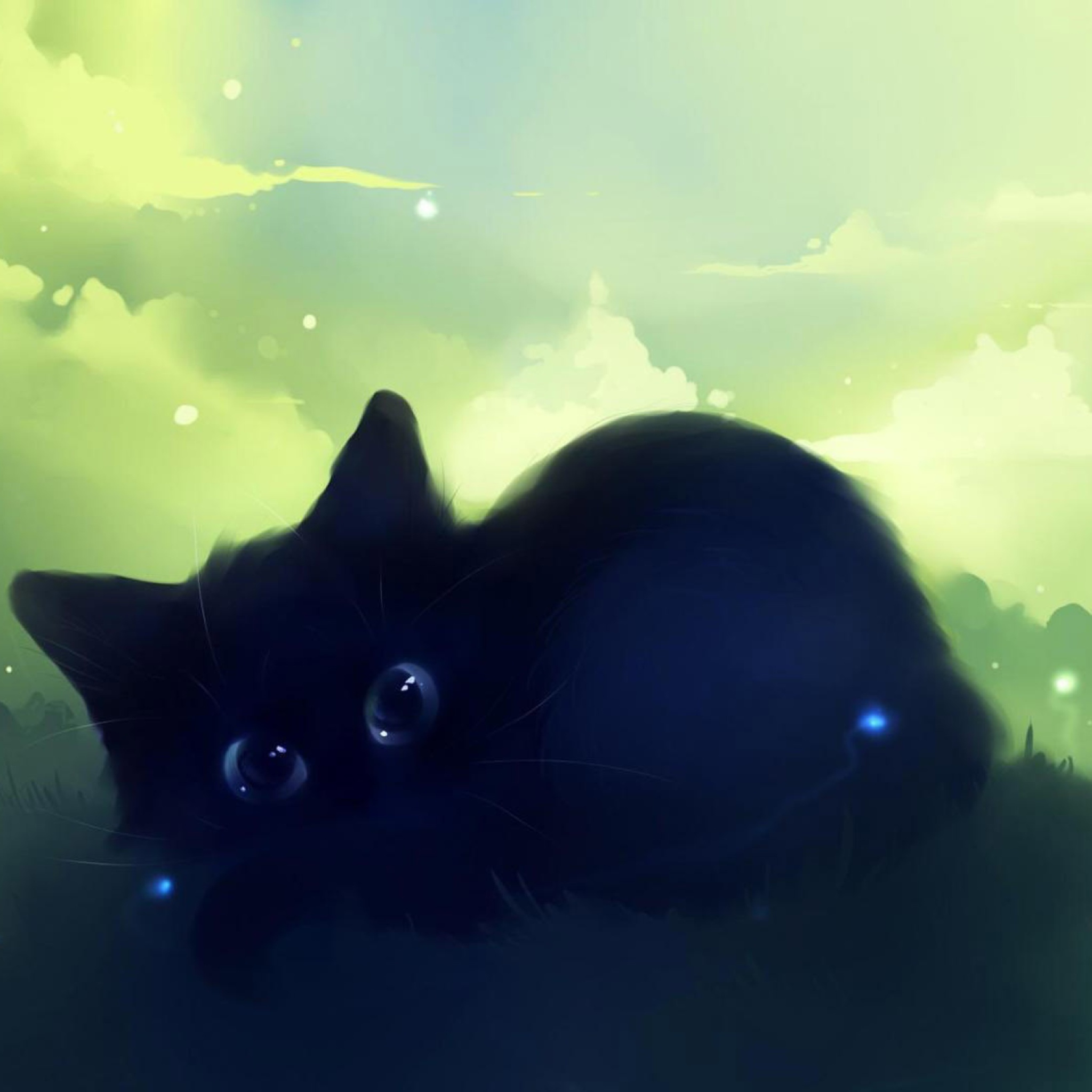 Fondo de pantalla Black Cat 2048x2048
