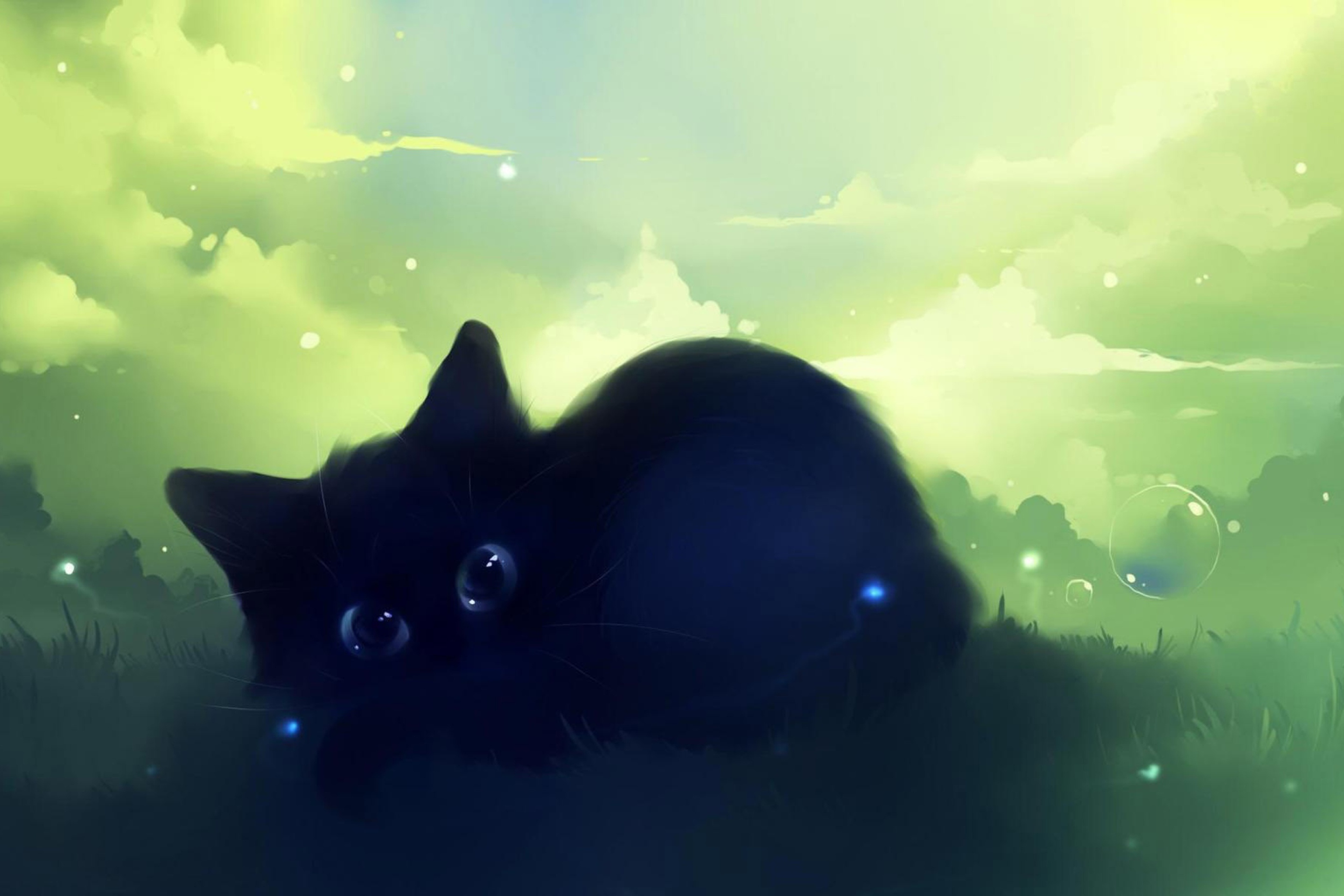 Black Cat screenshot #1 2880x1920