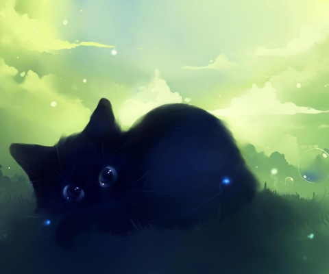 Black Cat screenshot #1 480x400
