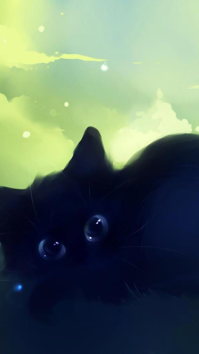 Black Cat wallpaper 640x1136