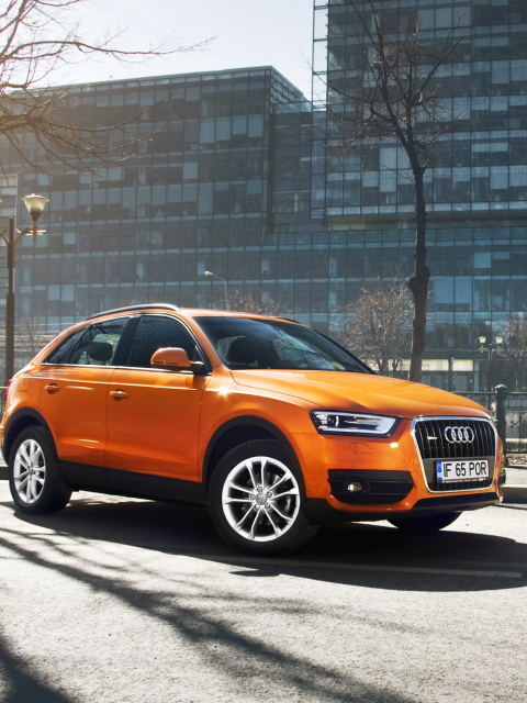 Audi Q3 screenshot #1 480x640