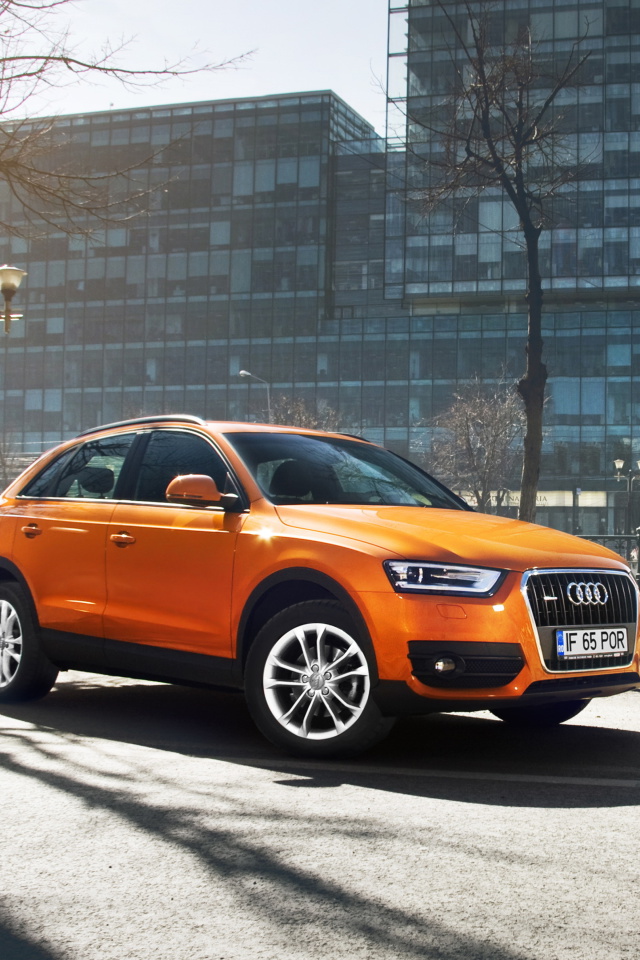 Audi Q3 screenshot #1 640x960