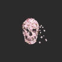 Das Flower Skull Wallpaper 128x128
