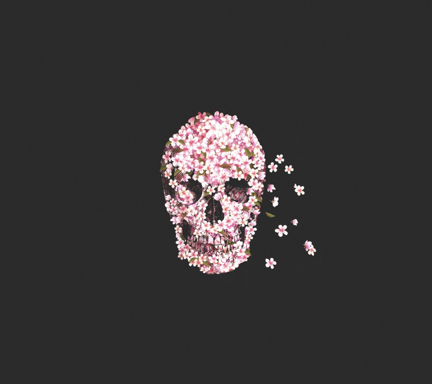 Fondo de pantalla Flower Skull 1440x1280