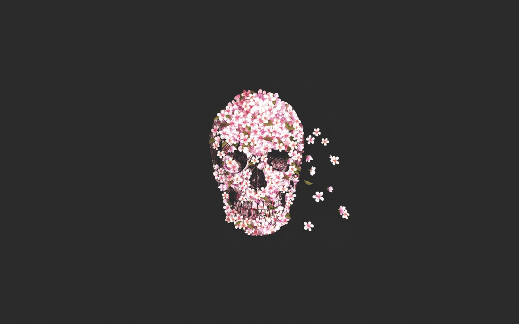 Fondo de pantalla Flower Skull 1680x1050