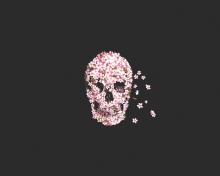 Fondo de pantalla Flower Skull 220x176