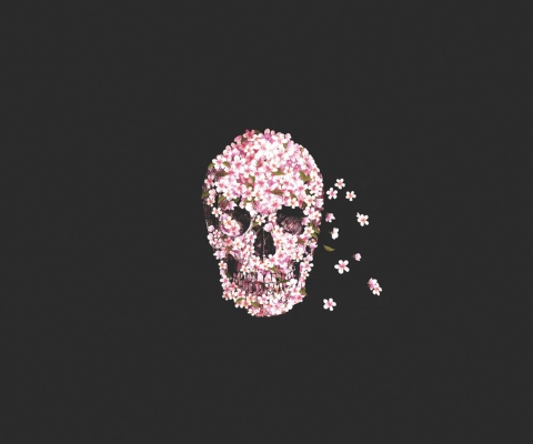 Sfondi Flower Skull 480x400