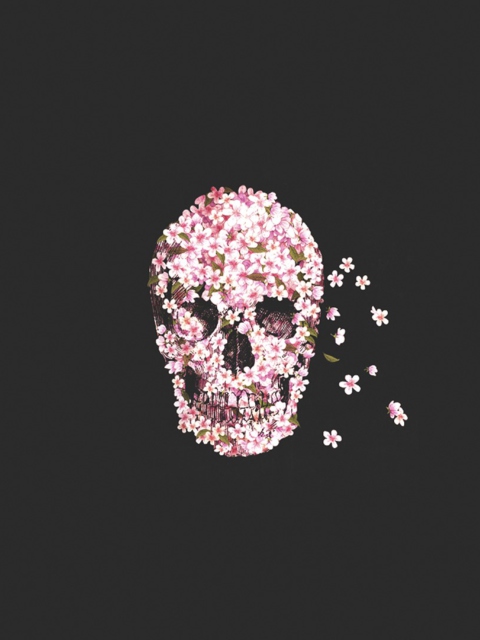 Fondo de pantalla Flower Skull 480x640