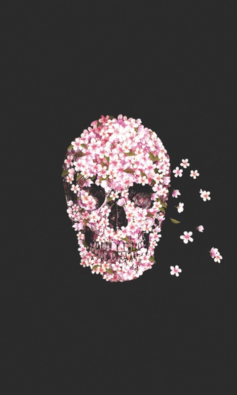 Fondo de pantalla Flower Skull 480x800