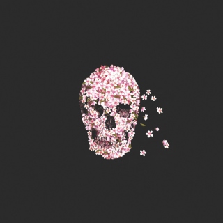 Kostenloses Flower Skull Wallpaper für 128x128