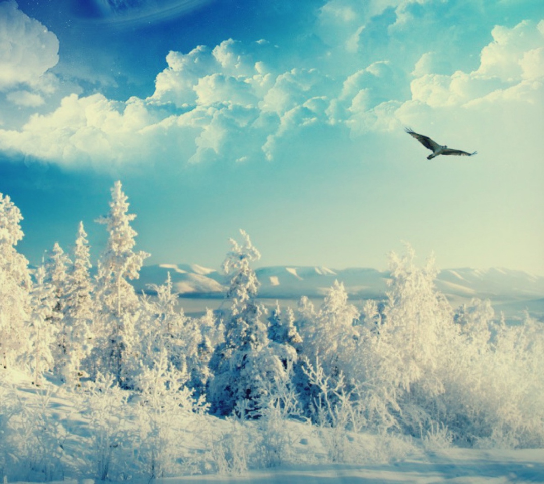 Das Bird In Sunny Winter Sky Wallpaper 1080x960