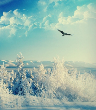 Bird In Sunny Winter Sky - Obrázkek zdarma pro Nokia C2-01