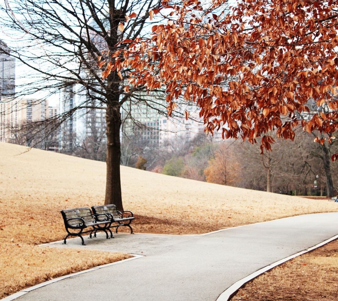 Das Autumn In Park Wallpaper 1080x960