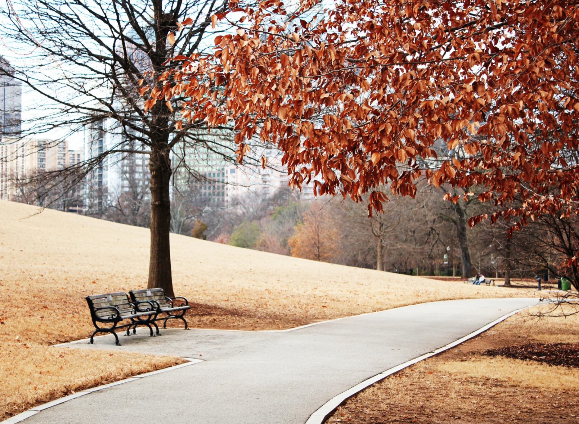 Обои Autumn In Park 1920x1408