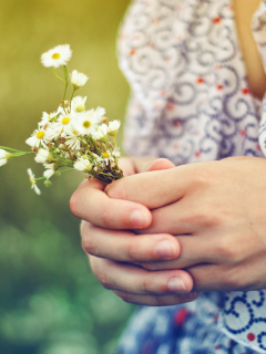 Fondo de pantalla Daisies In Her Hands 240x320