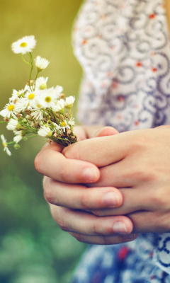 Das Daisies In Her Hands Wallpaper 240x400