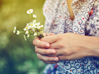 Обои Daisies In Her Hands 320x240