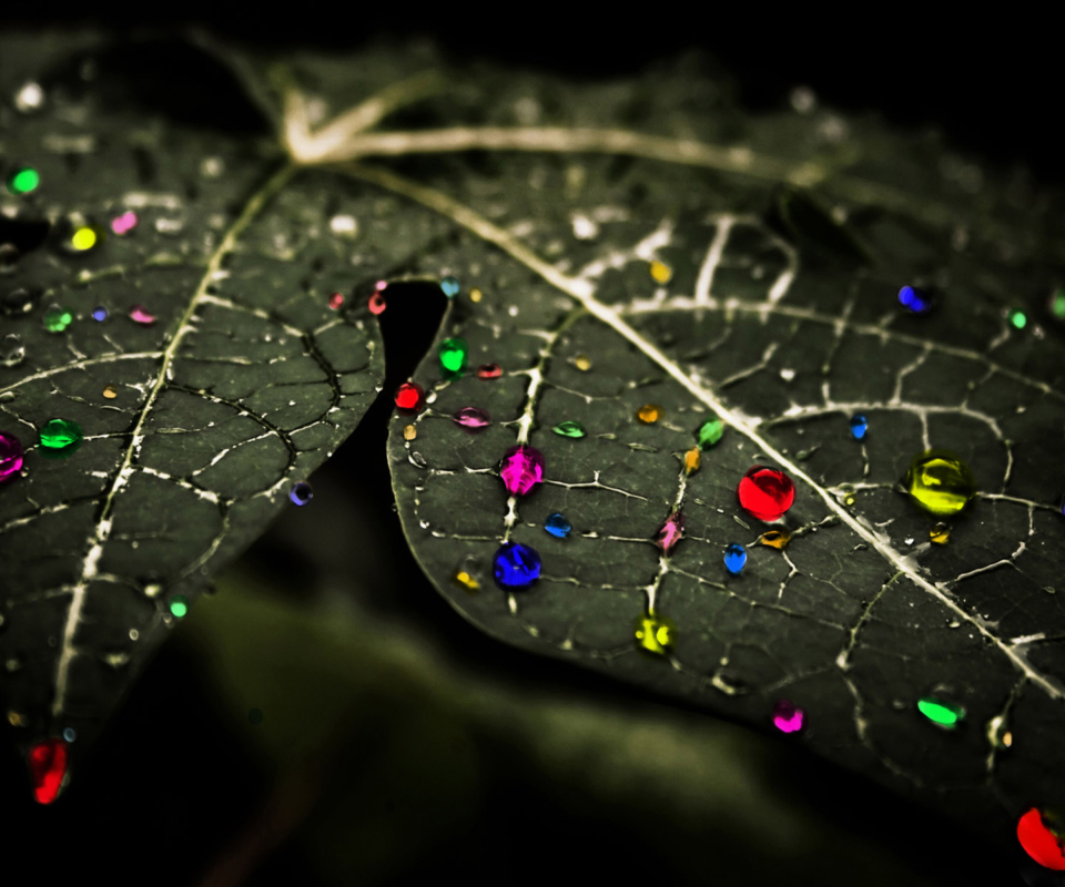 Das Dark Leaf Wallpaper 960x800