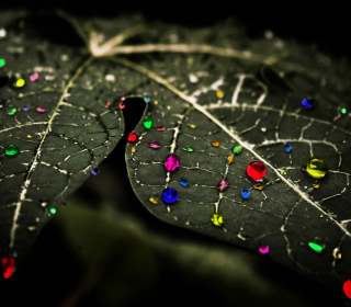 Dark Leaf - Obrázkek zdarma pro iPad