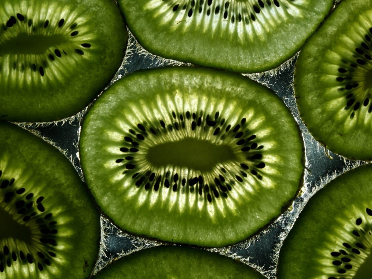 Kiwi wallpaper 1280x960