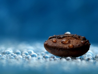 Coffee Bean Macro screenshot #1 320x240