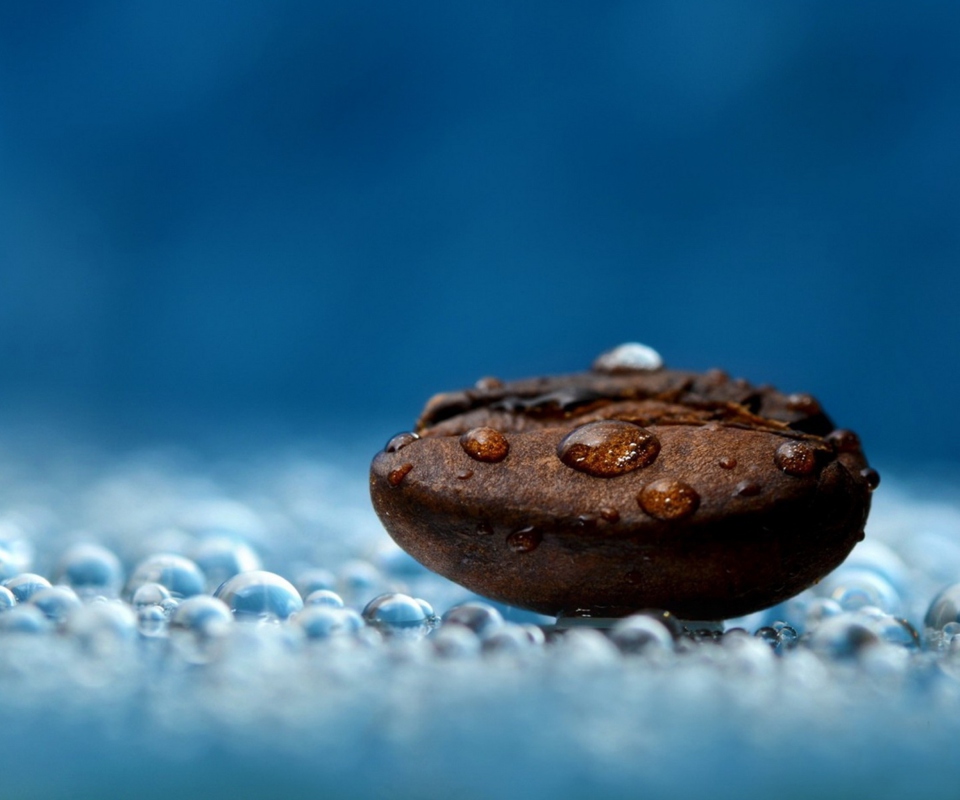 Обои Coffee Bean Macro 960x800