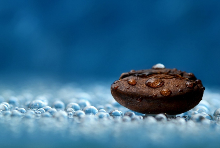 Fondo de pantalla Coffee Bean Macro